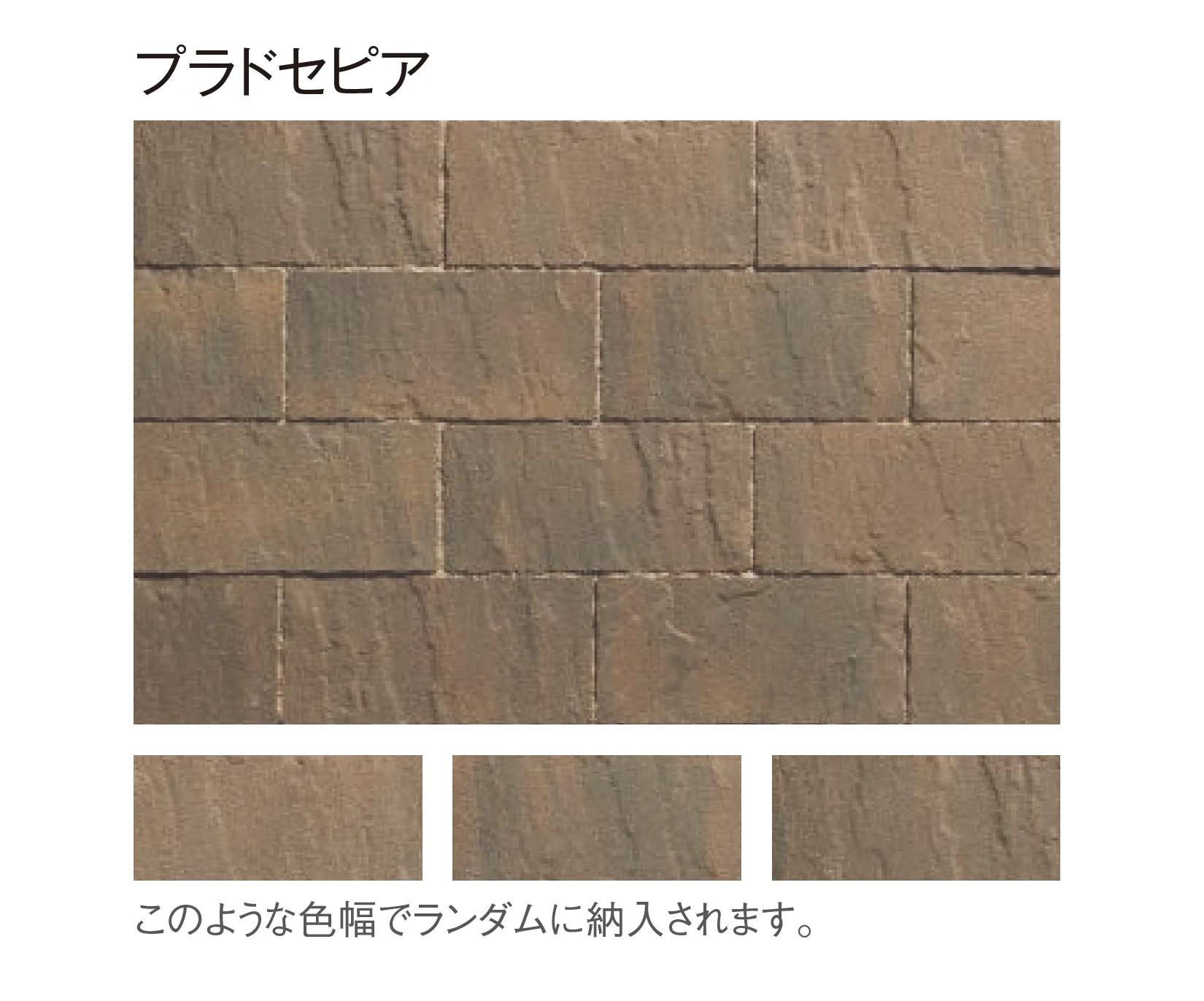 東洋工業の「プラーガブリック」のサブ画像7