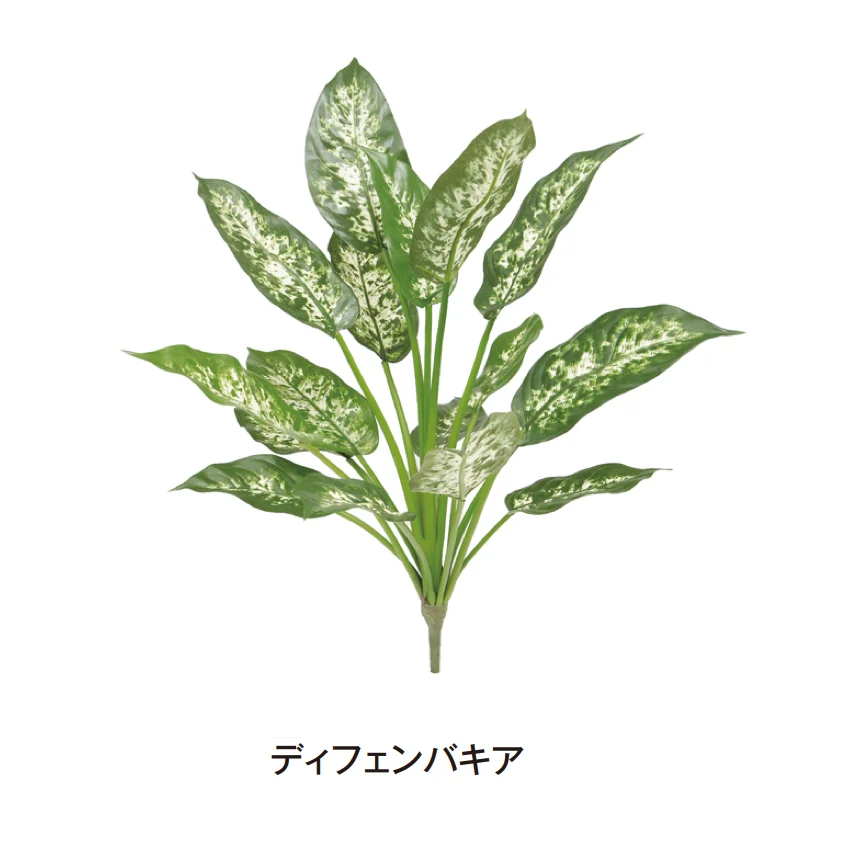 タカショーの「グランドカバー 下草」のサブ画像16