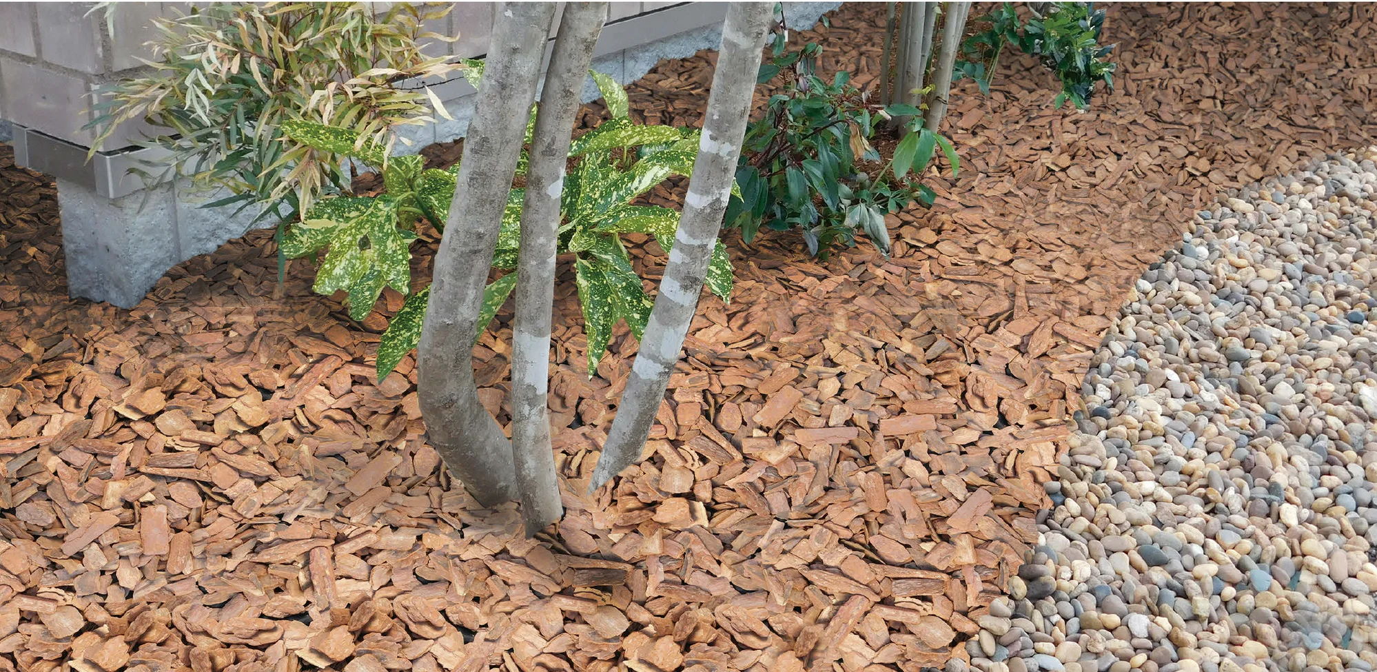 EXDECOの「パイン バーク Pine Bark」
