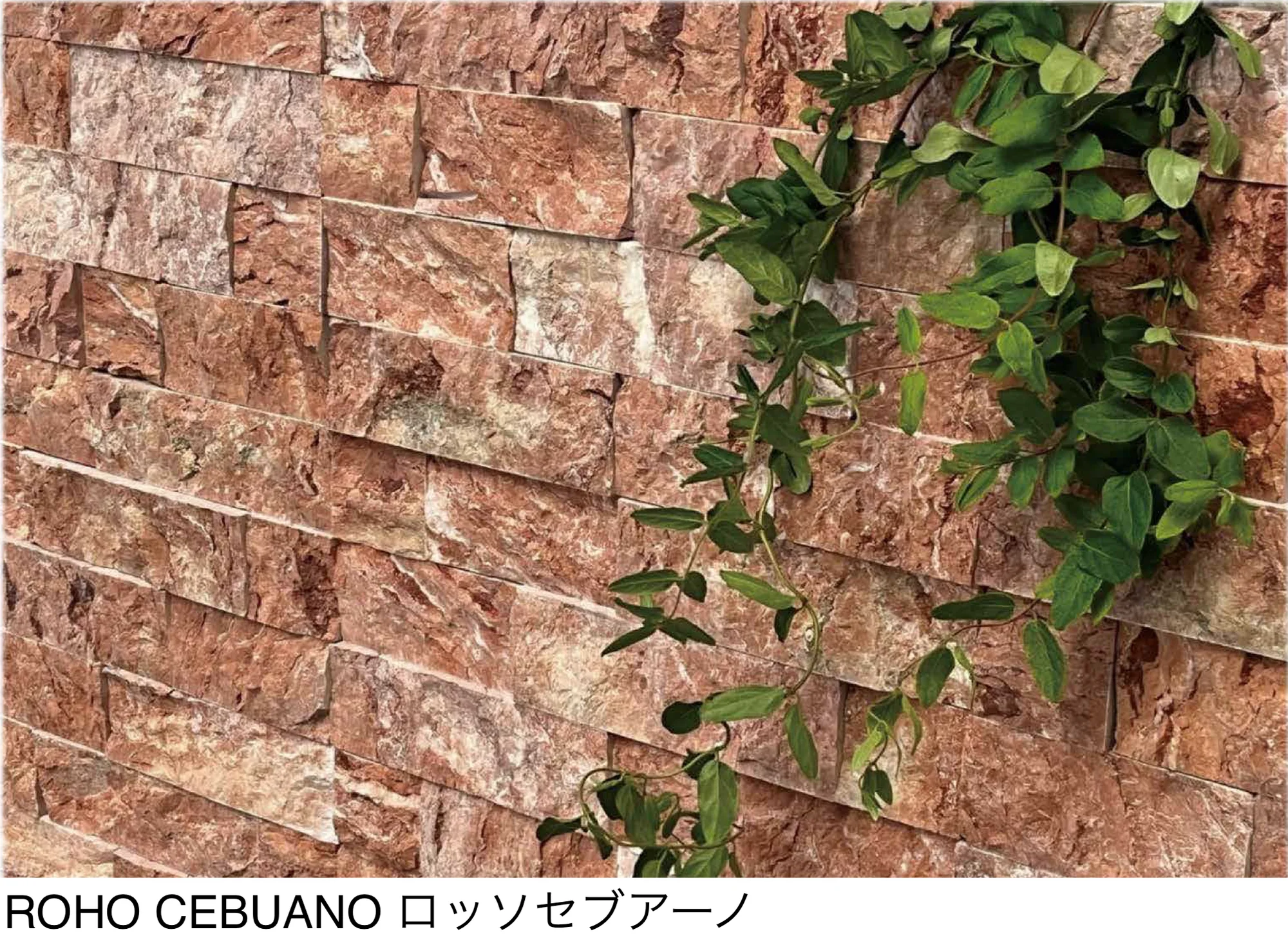 松下産業の「ロッソセブアーノ」
