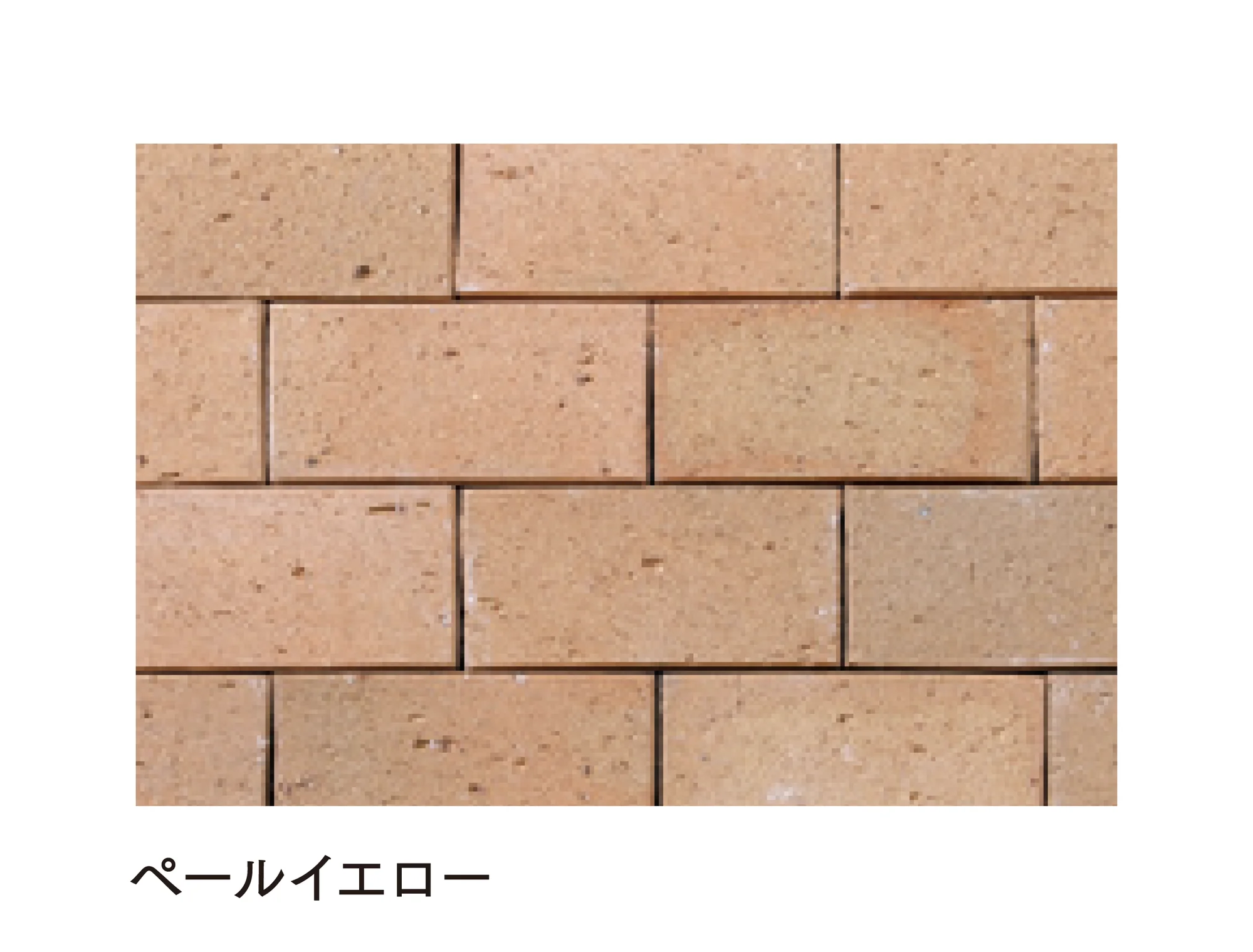 マチダコーポレーションの「ビクトリアペイブ」のサブ画像7