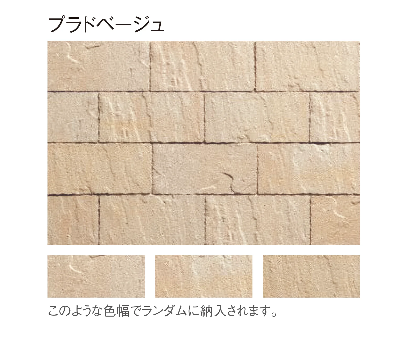 東洋工業の「プラーガブリック」のサブ画像5