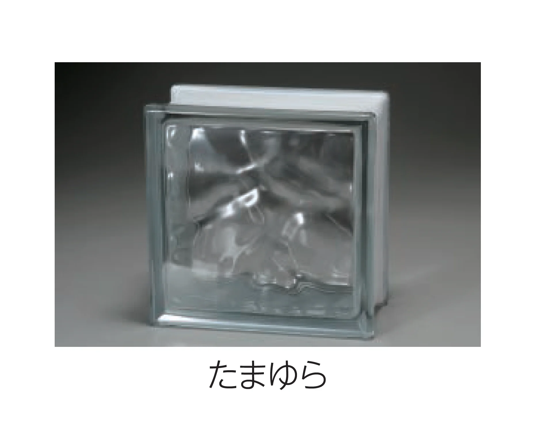 エスビックの「ガラスブロック」のサブ画像3