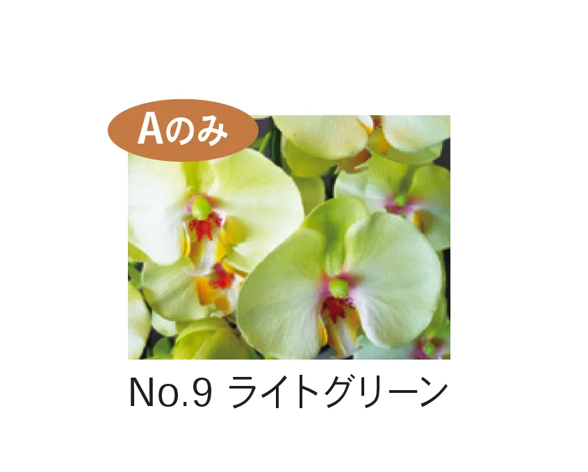 Bullsの「アートフラワー 胡蝶蘭」のサブ画像9