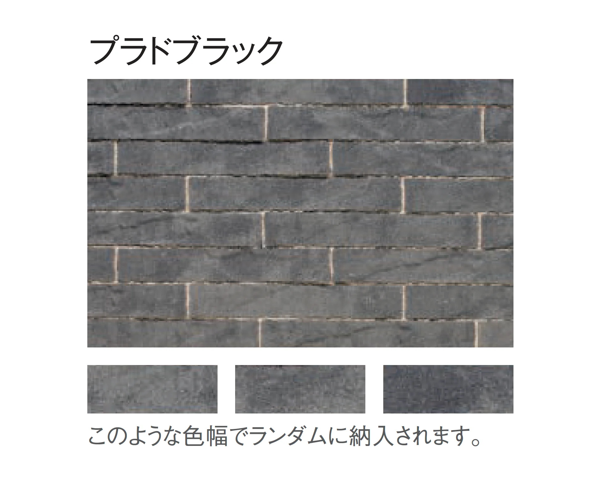東洋工業の「プラーガボーダー」のサブ画像9