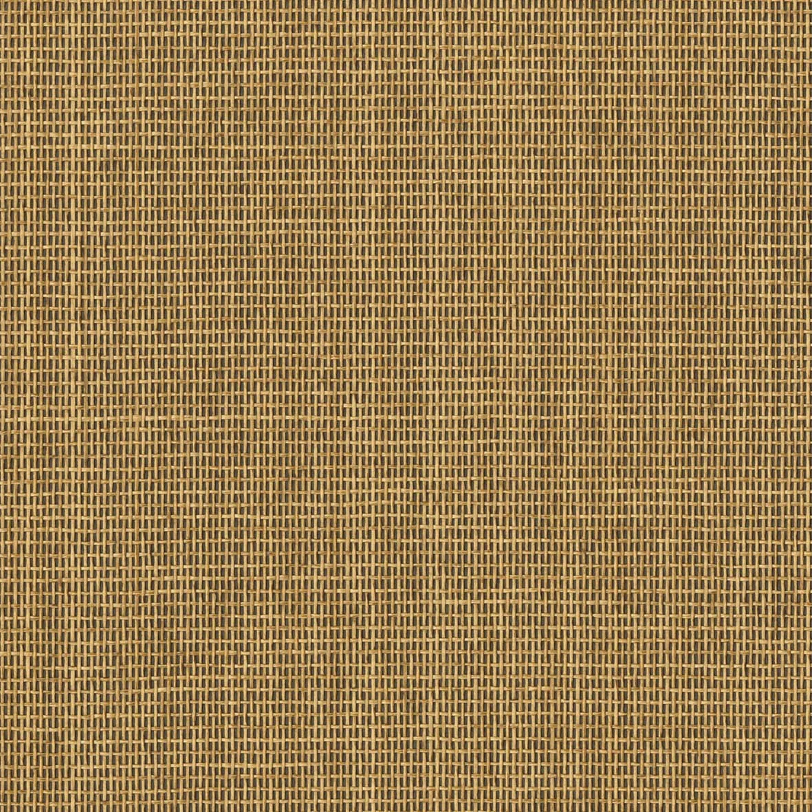 リリカラの「LMT-16167」