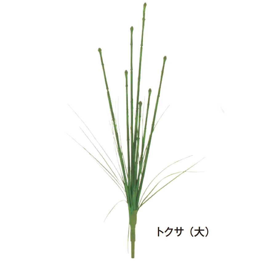 タカショーの「グランドカバー 下草」のサブ画像14