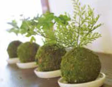 ゆとりの「消臭アーティフィシャルグリーン WA BONSAI 【2022年版】」