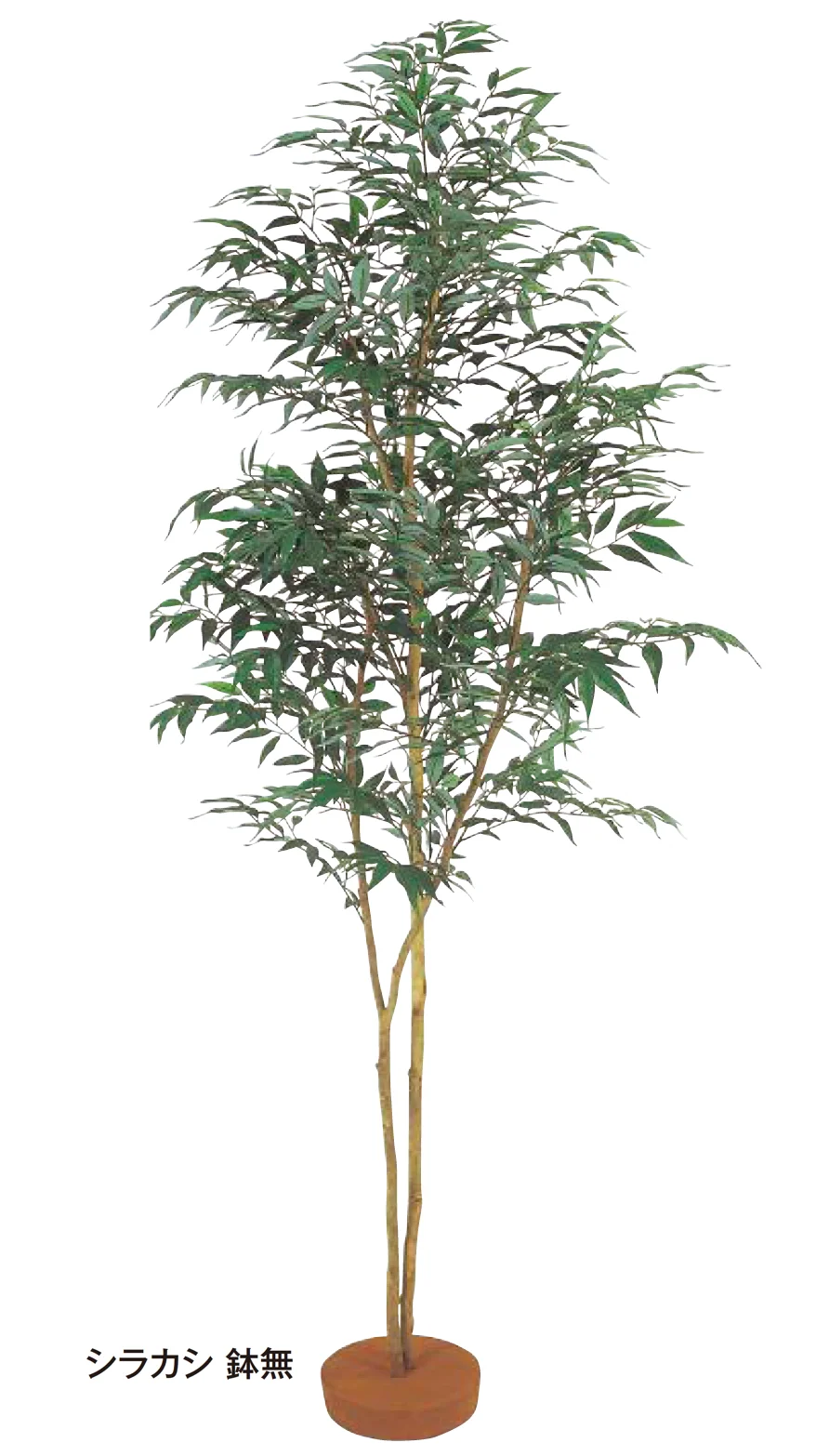 タカショーの「和風観葉植物【2026年版】」のサブ画像3