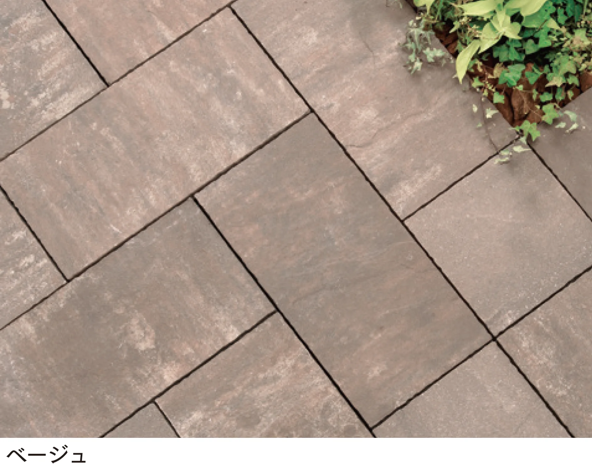 マチダコーポレーションの「アルテア Wタイプ」のサブ画像1
