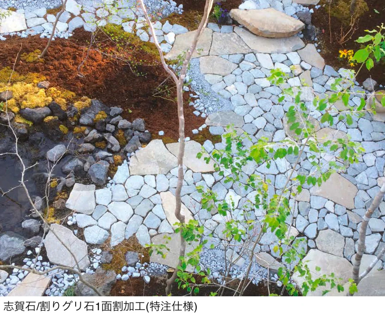 アイランドの「志賀石」のサブ画像2