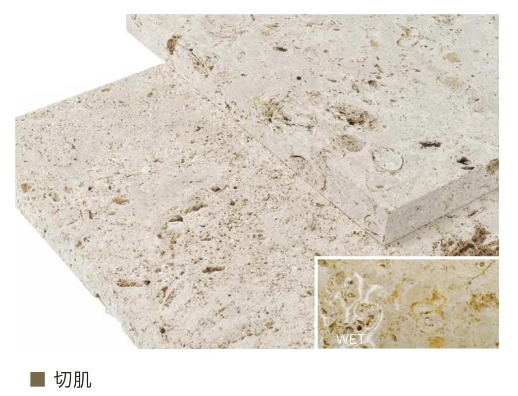 オンリーワンクラブの「琉球石灰岩」のサブ画像8