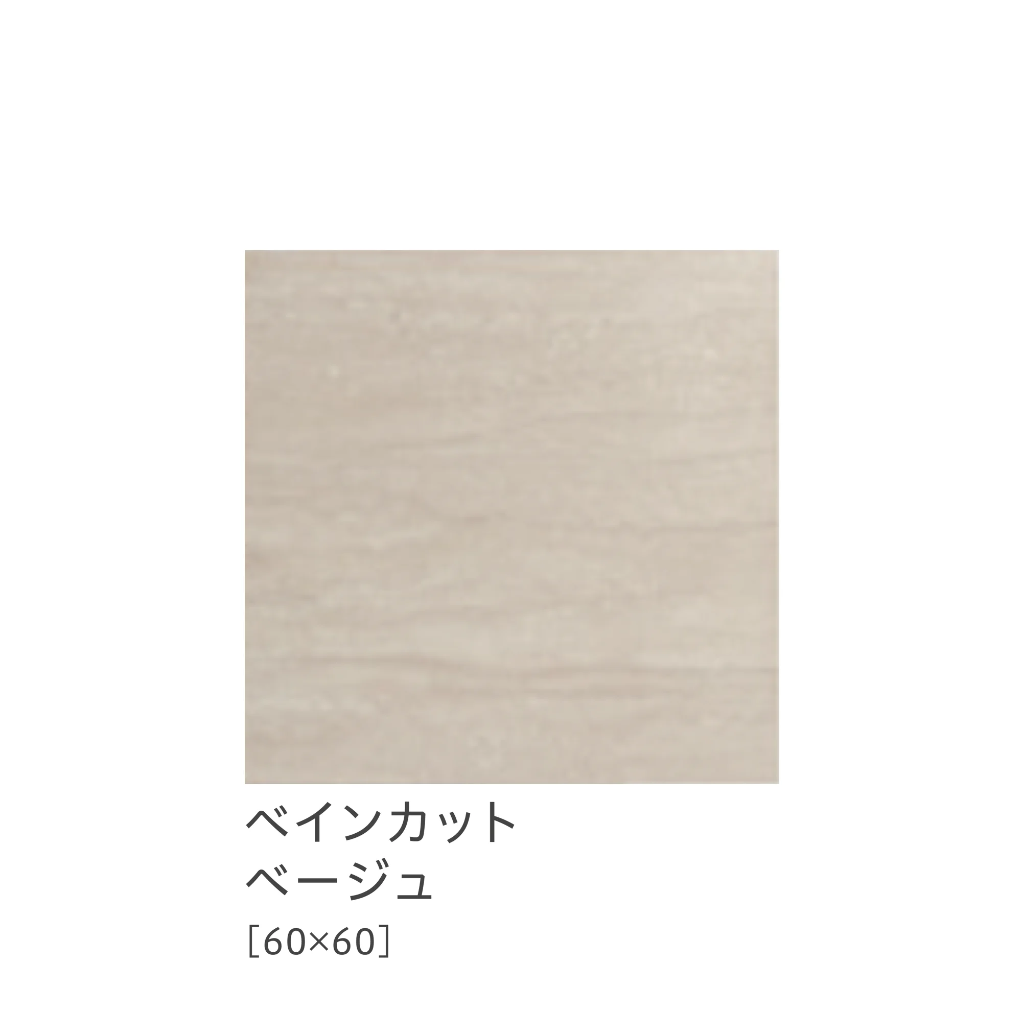 リビエラの「ドルセット」のサブ画像5