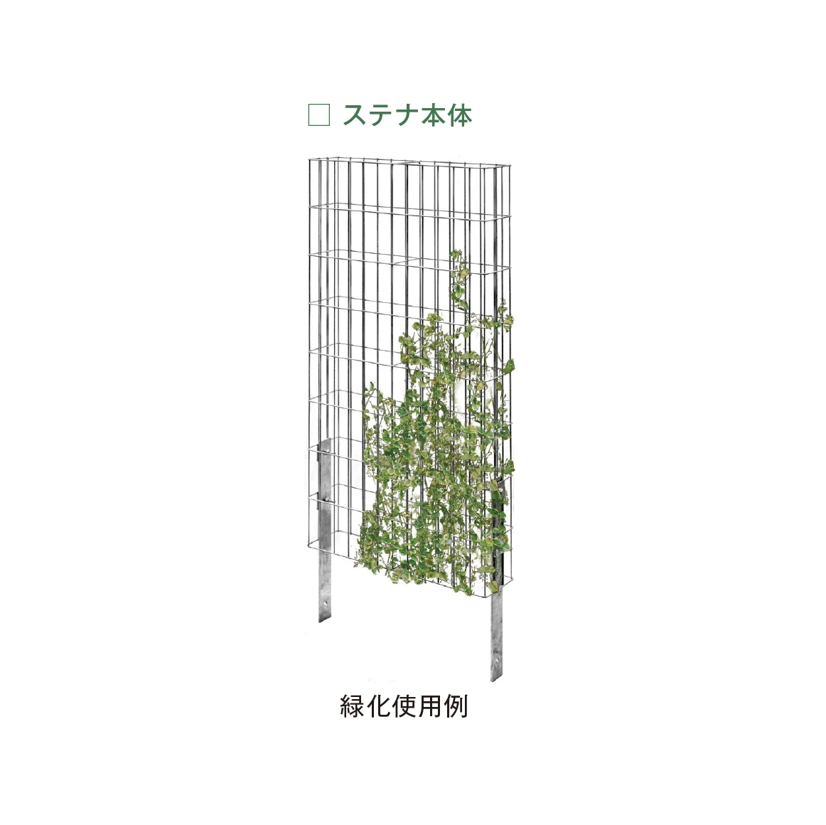 メイクランドの「ステナ」のサブ画像1
