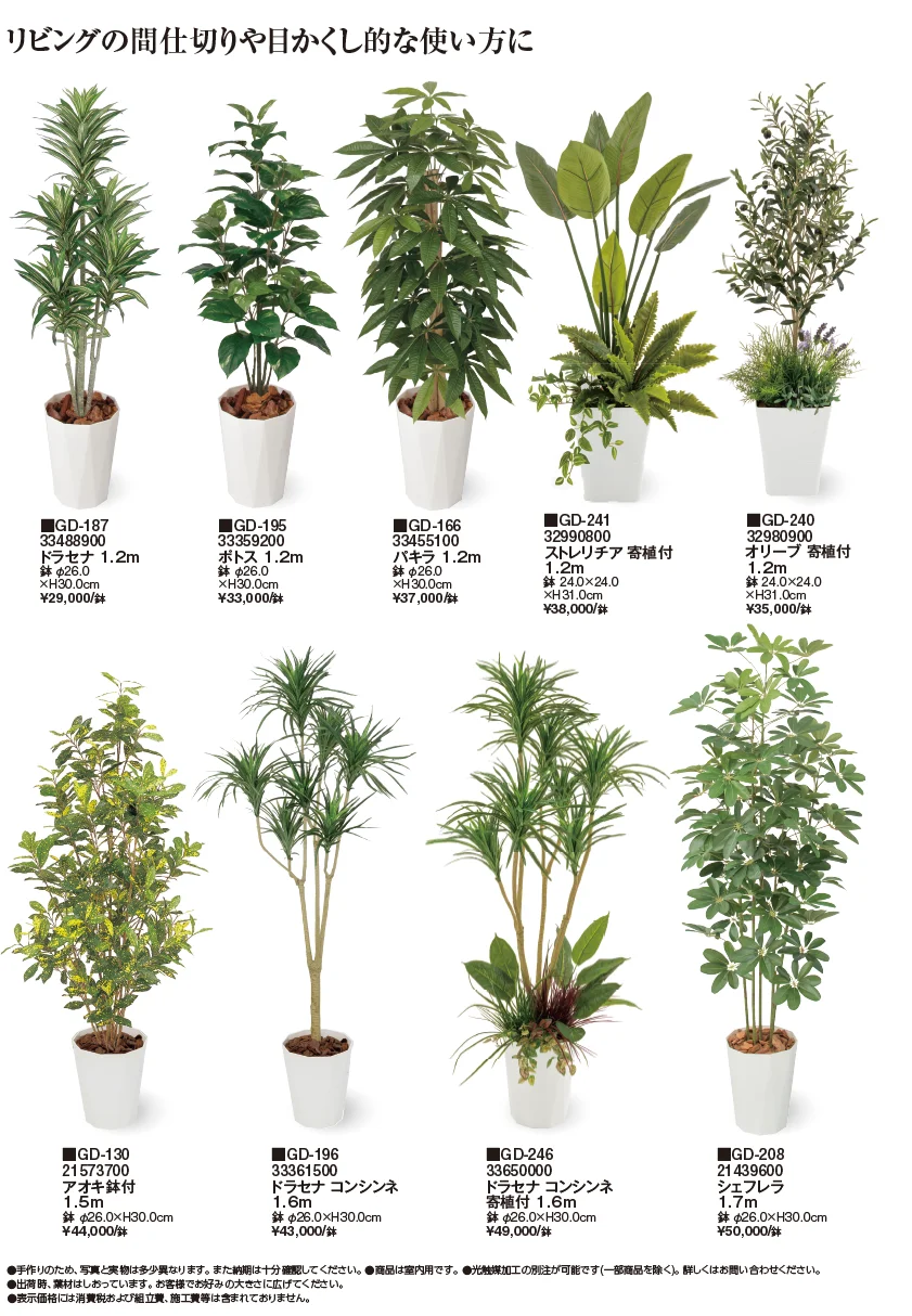 観葉植物【2024年版】_価格_3