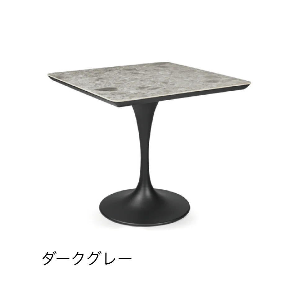タカショーの「デュオシエナ」のサブ画像1