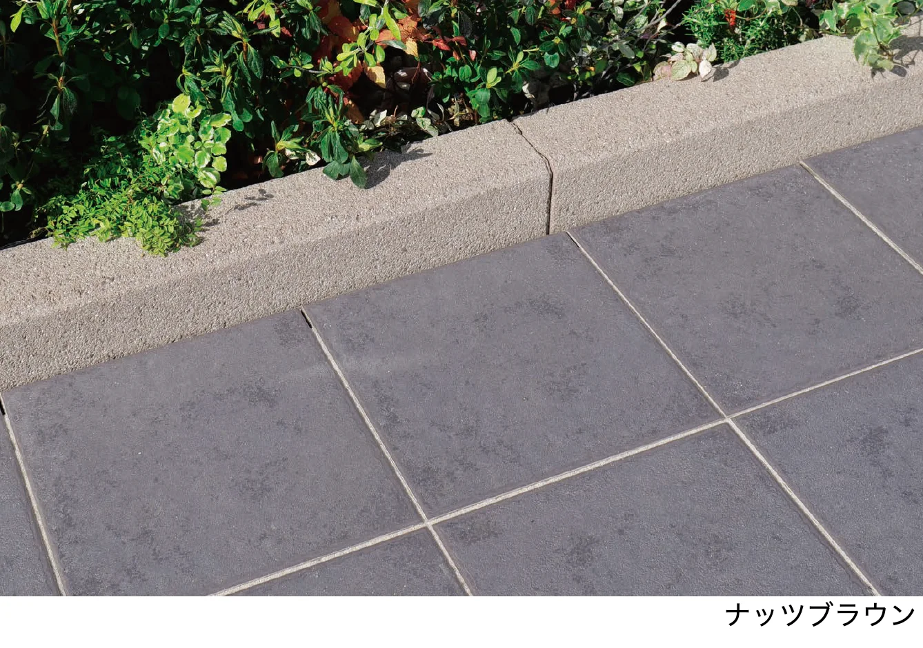 エスビックの「セレクトエッジ【2024年版】」