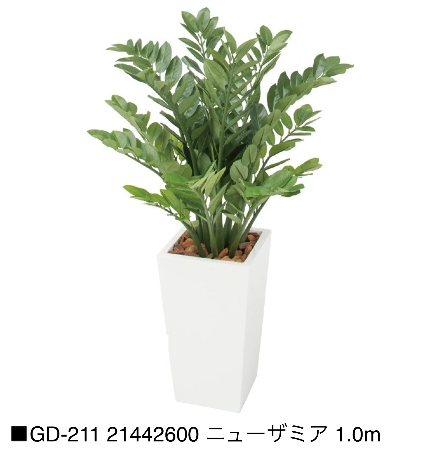 タカショーの「観葉植物【2025年版】」のサブ画像12