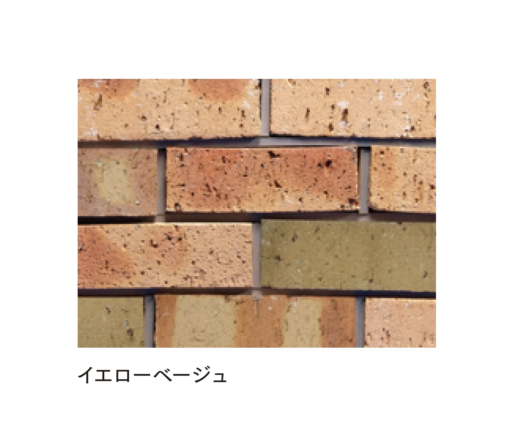 マチダコーポレーションの「ビクトリアブリック」のサブ画像7