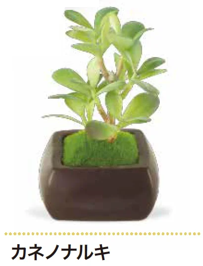 ゆとりの「消臭アーティフィシャルグリーン WA BONSAI 【2022年版】」のサブ画像4