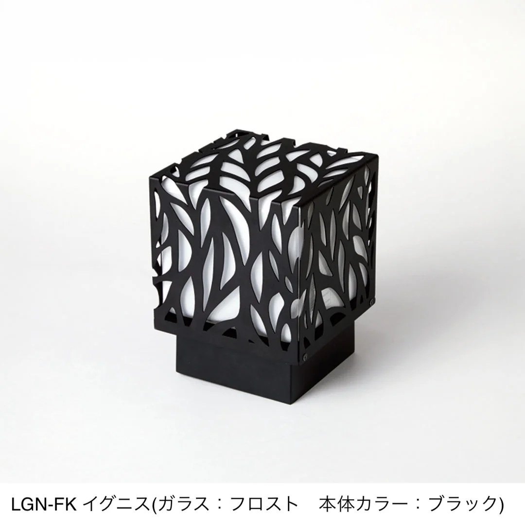 福彫の「イグニス」のサブ画像2