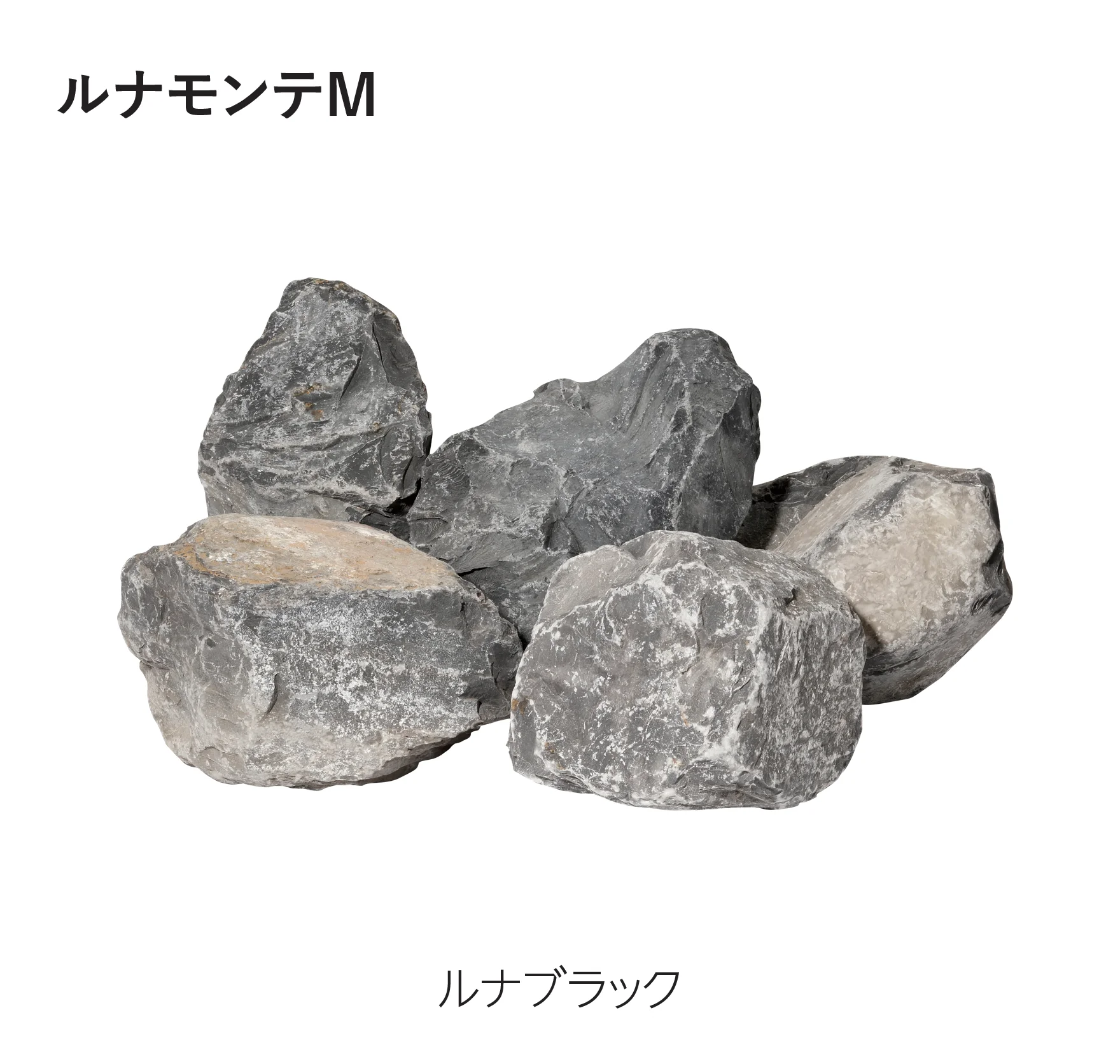 エスビックの「ルナモンテM/ルナモンテS」のサブ画像5