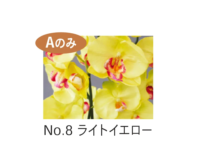 Bullsの「アートフラワー 胡蝶蘭」のサブ画像8
