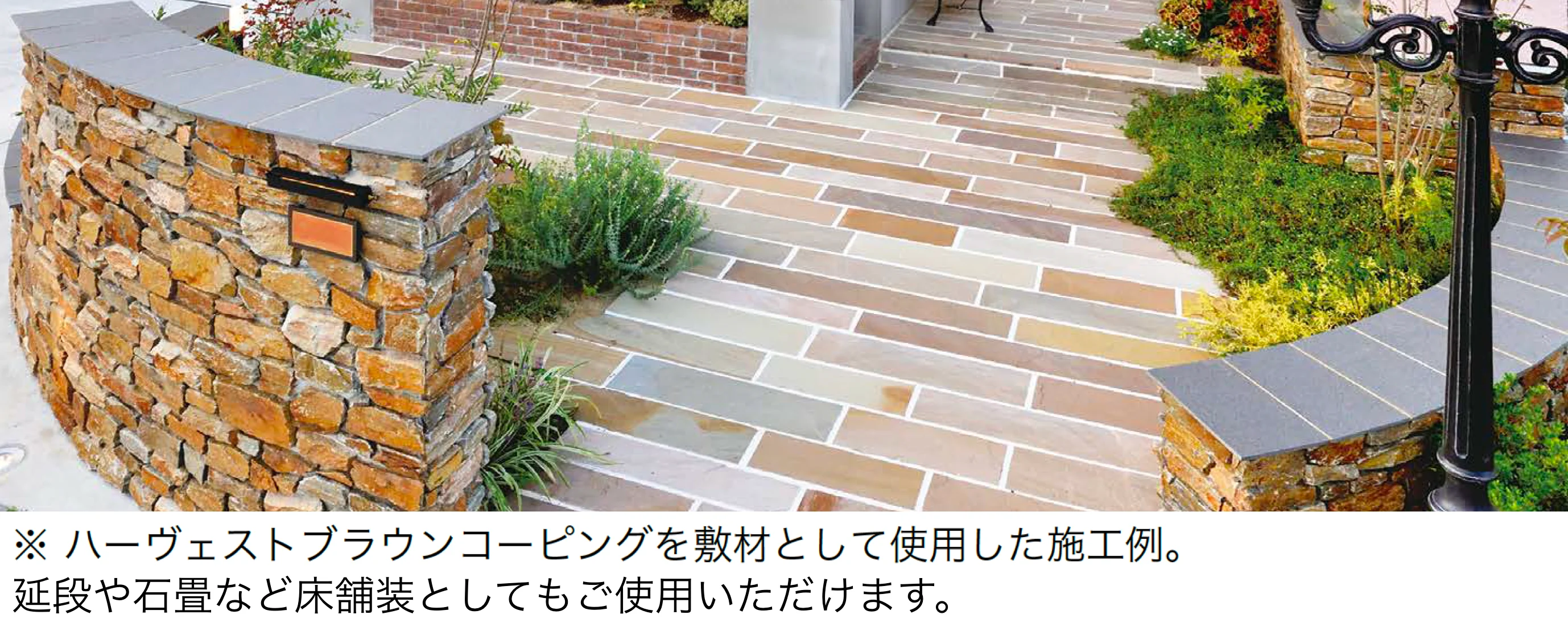 オンリーワンクラブの「ハーヴェストブラウン」のサブ画像5