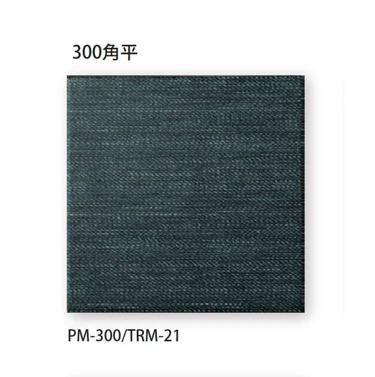 TChicの「トレモロ」のサブ画像3