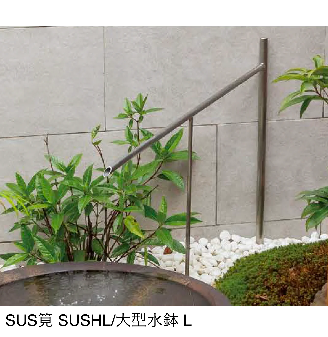 オンリーワンクラブの「SUS筧」のサブ画像2