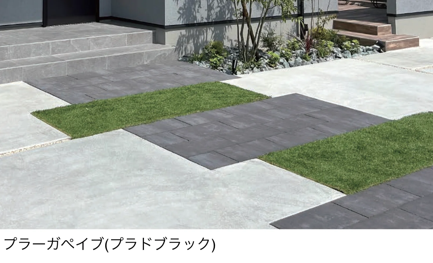 東洋工業の「プラーガペイブ」のサブ画像3
