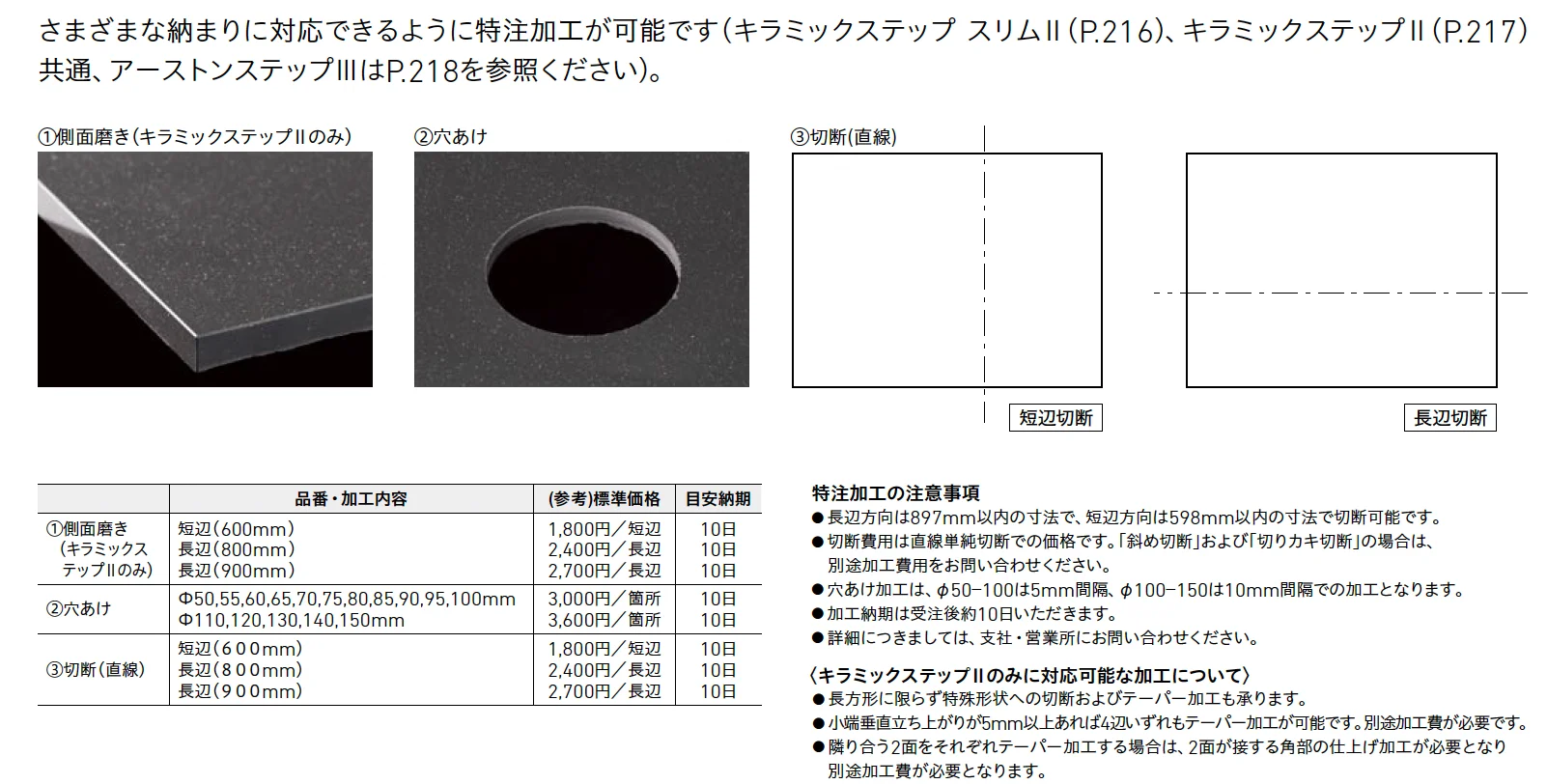 キラミックステップ スリムⅡ[汚垂れ石]【2025年版】_価格_2
