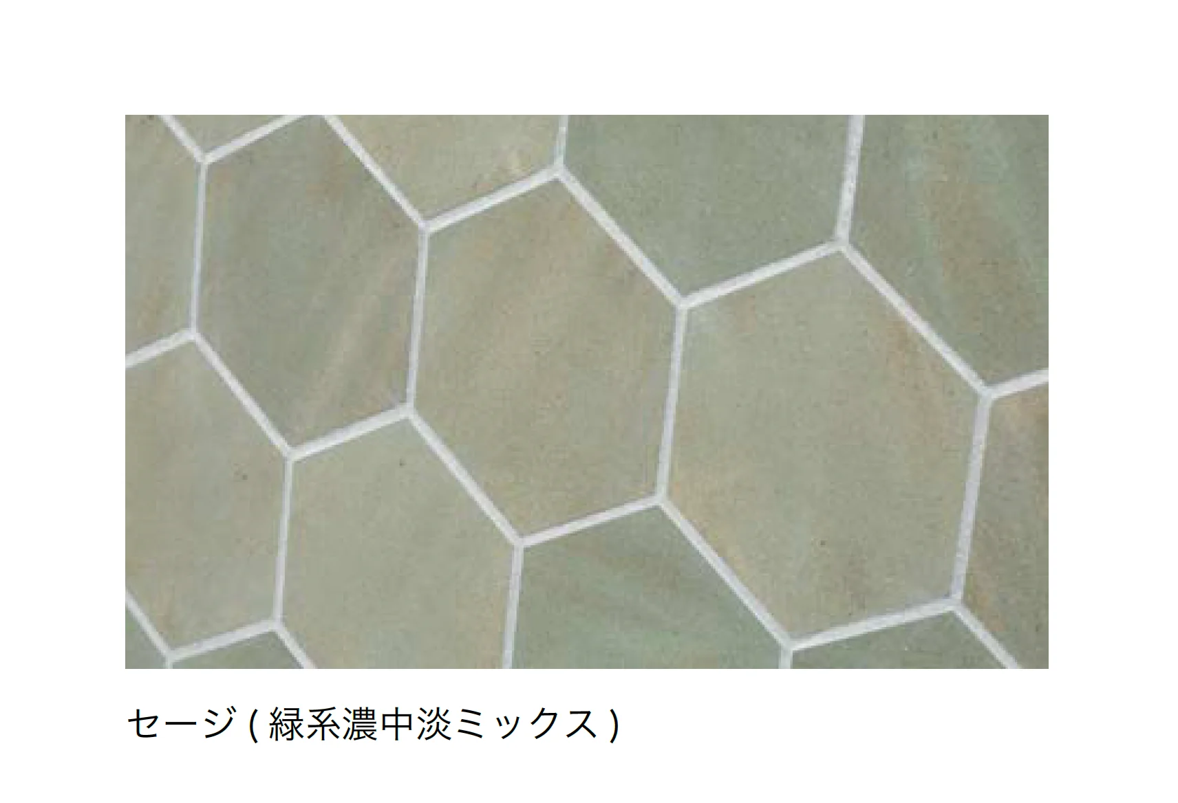 オンリーワンクラブの「ビラージュ RMP」のサブ画像2
