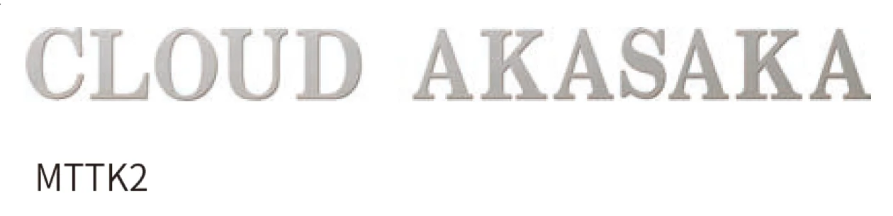 丸三タカギの「チタン製サイン【切文字タイプ】」のサブ画像1