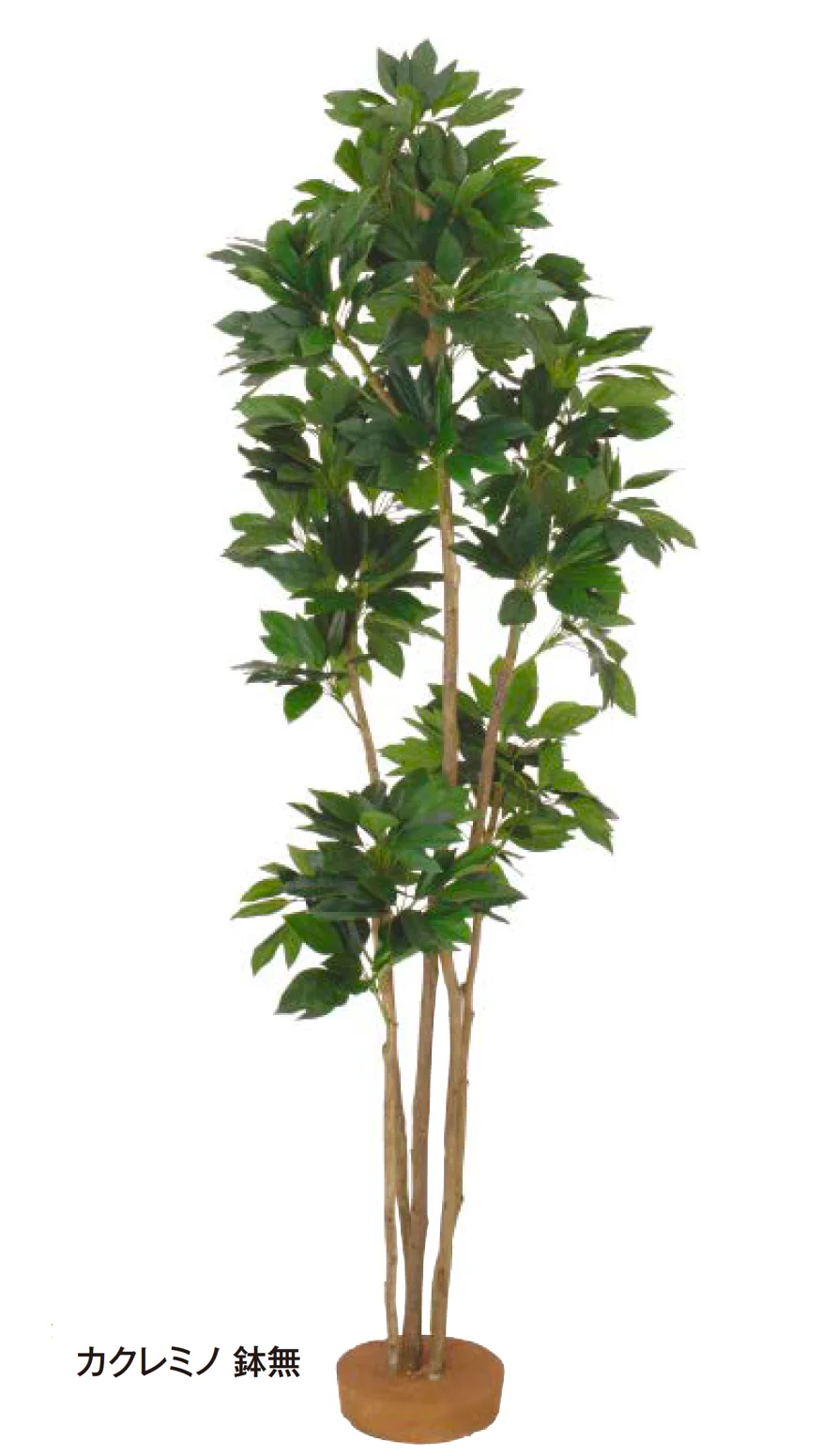 タカショーの「和風観葉植物【2026年版】」のサブ画像5