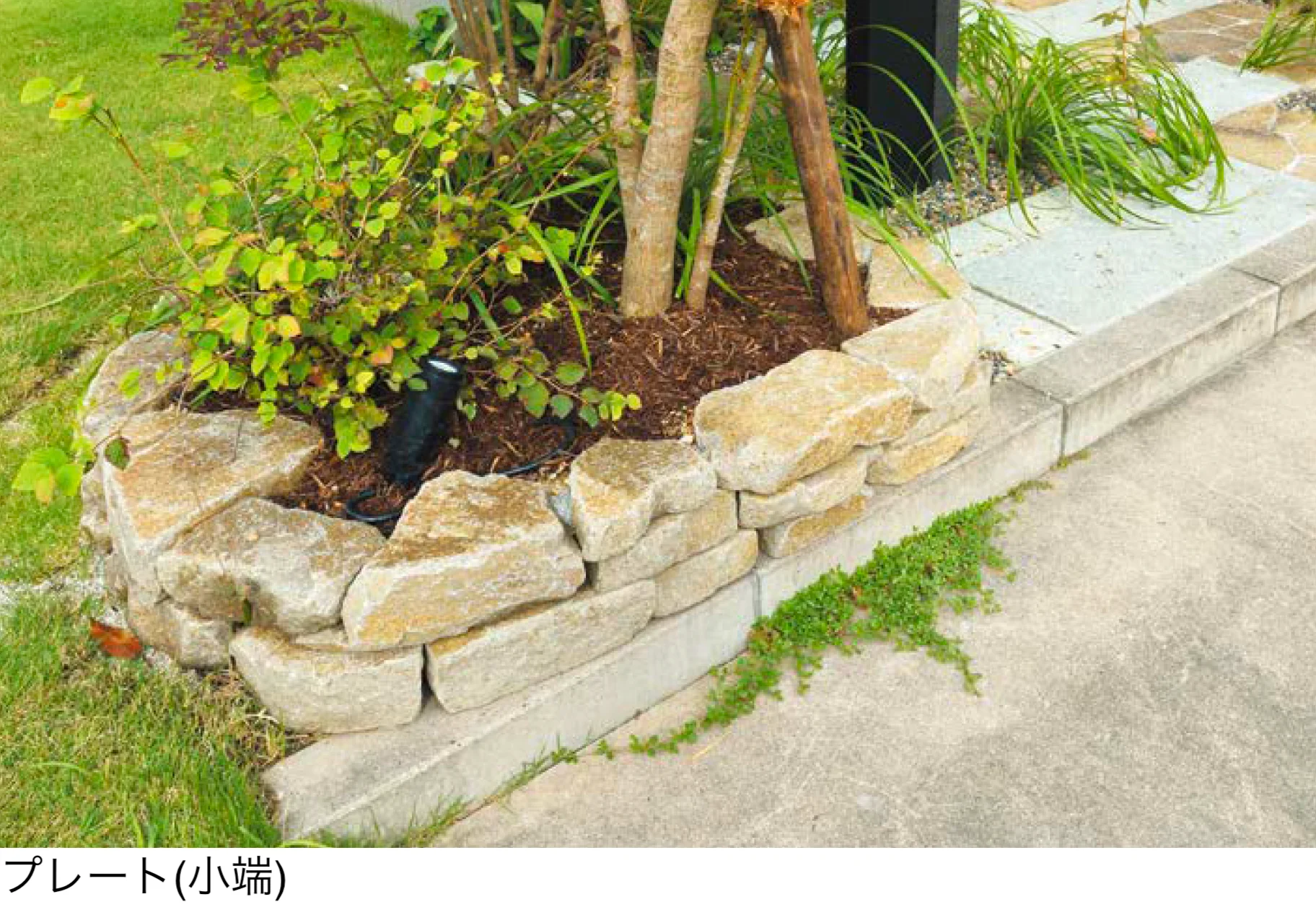 オンリーワンクラブの「久栗坂石」
