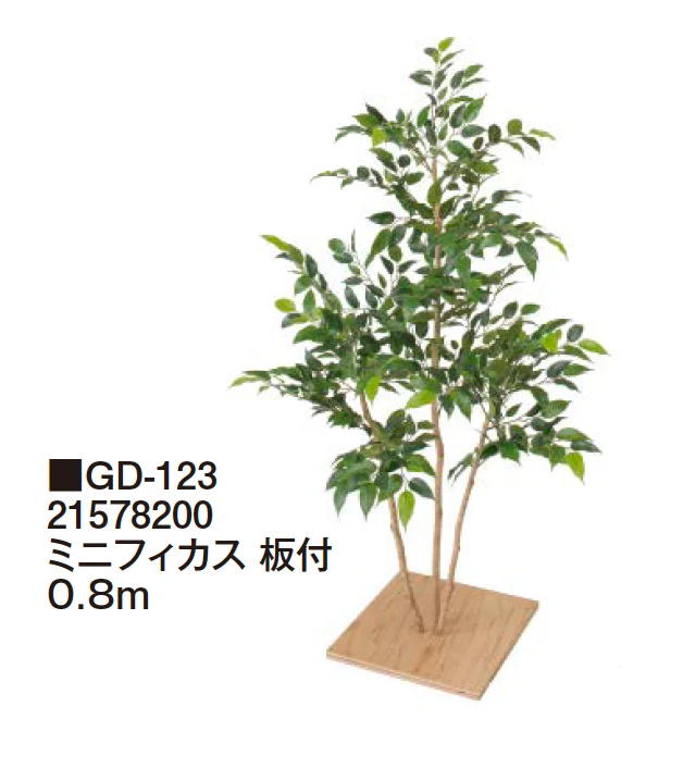 タカショーの「観葉植物【2024年版】」のサブ画像28