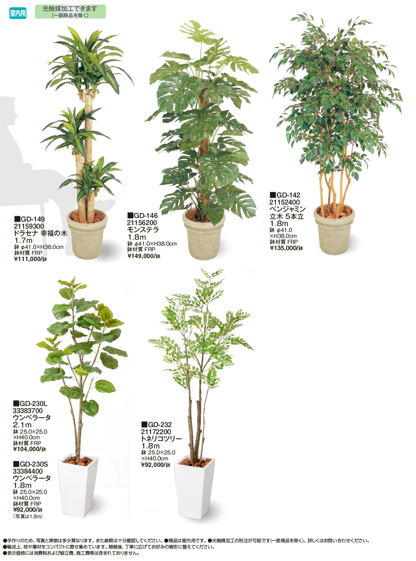 観葉植物【2025年版】_価格_1