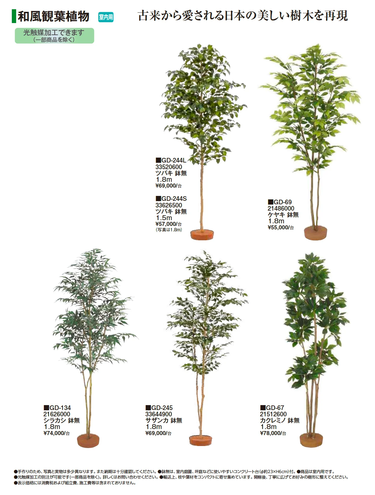 和風観葉植物【2026年版】_価格_1