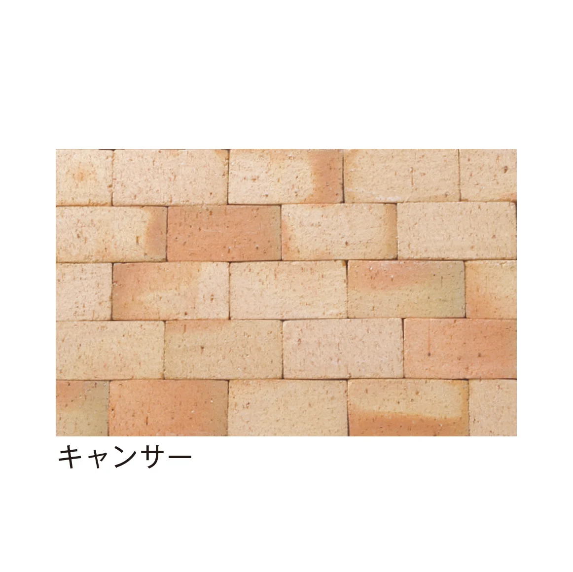 メイクランドの「べイブ」のサブ画像7