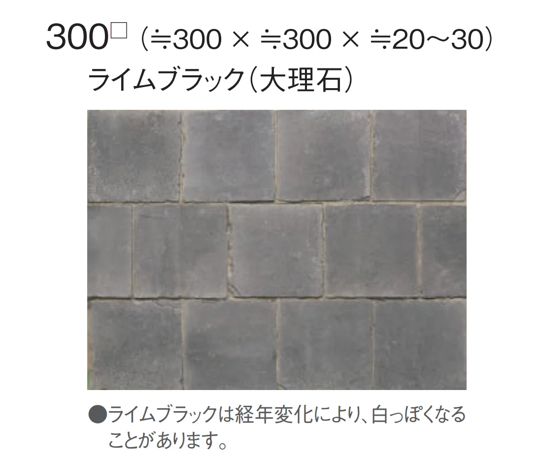 東洋工業の「ライムストーン」のサブ画像6