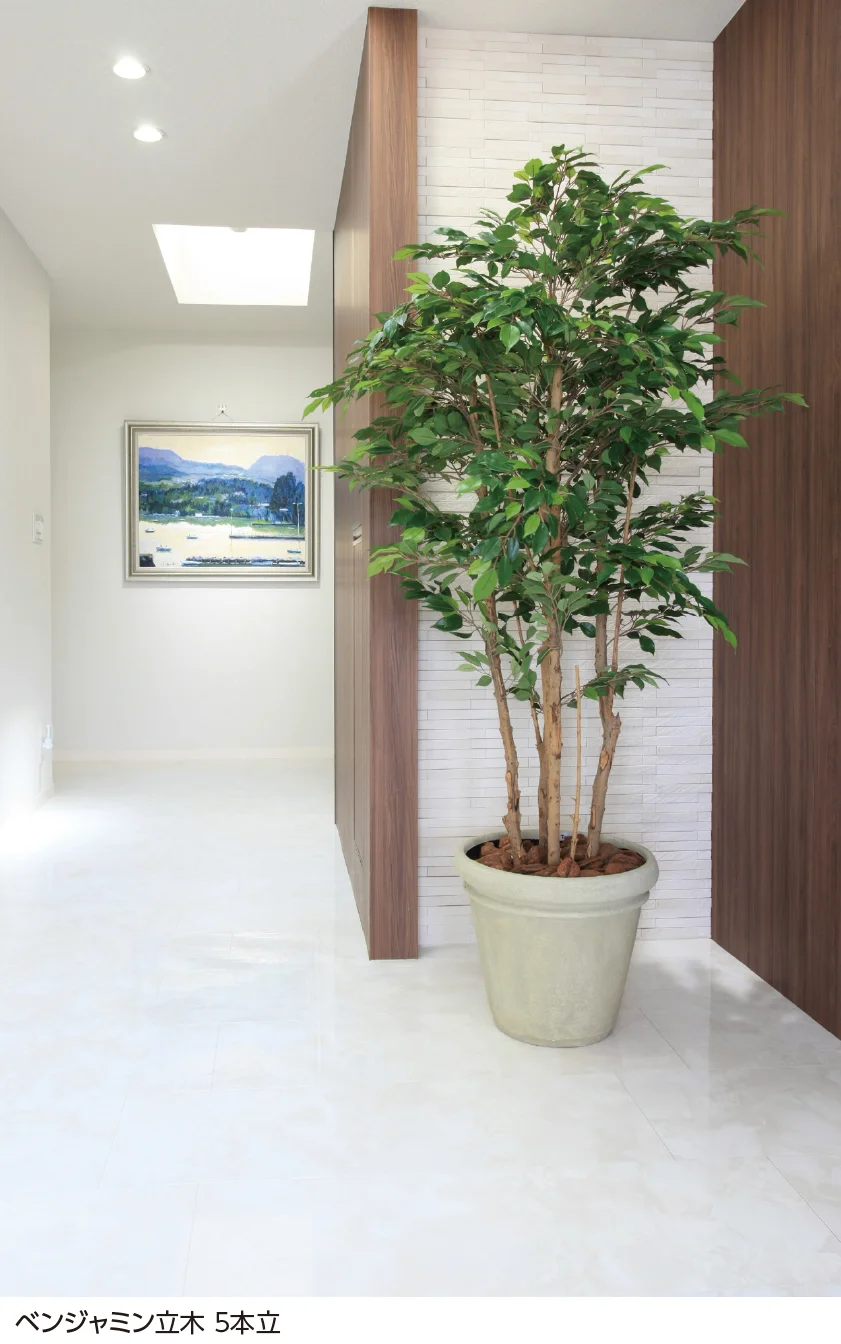 タカショーの「観葉植物【2024年版】」