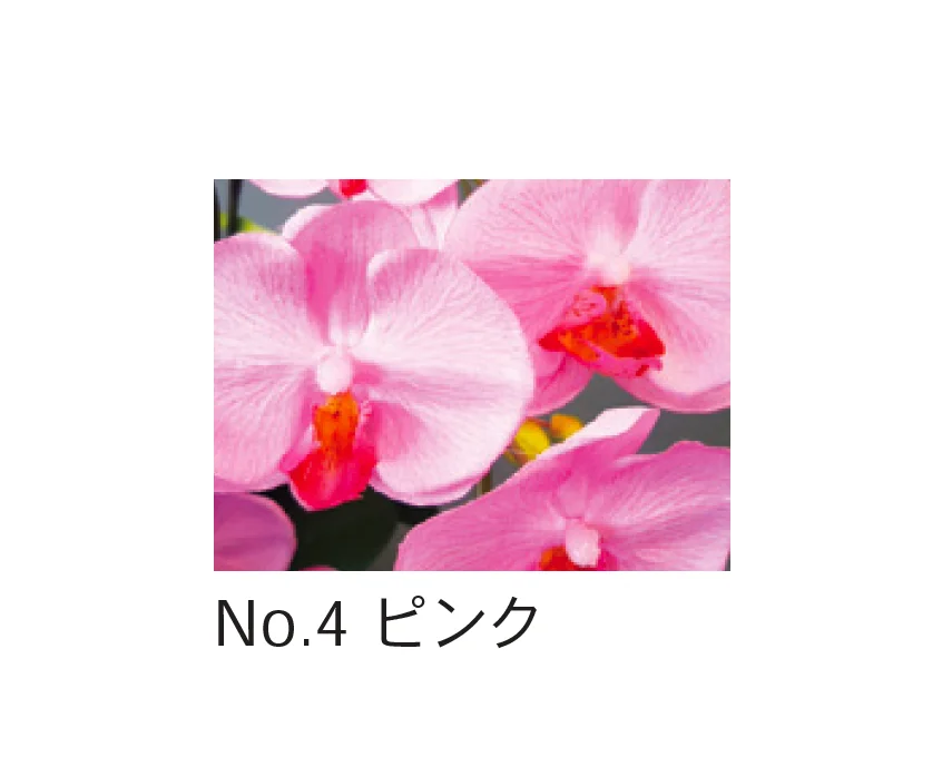 Bullsの「アートフラワー 胡蝶蘭」のサブ画像4