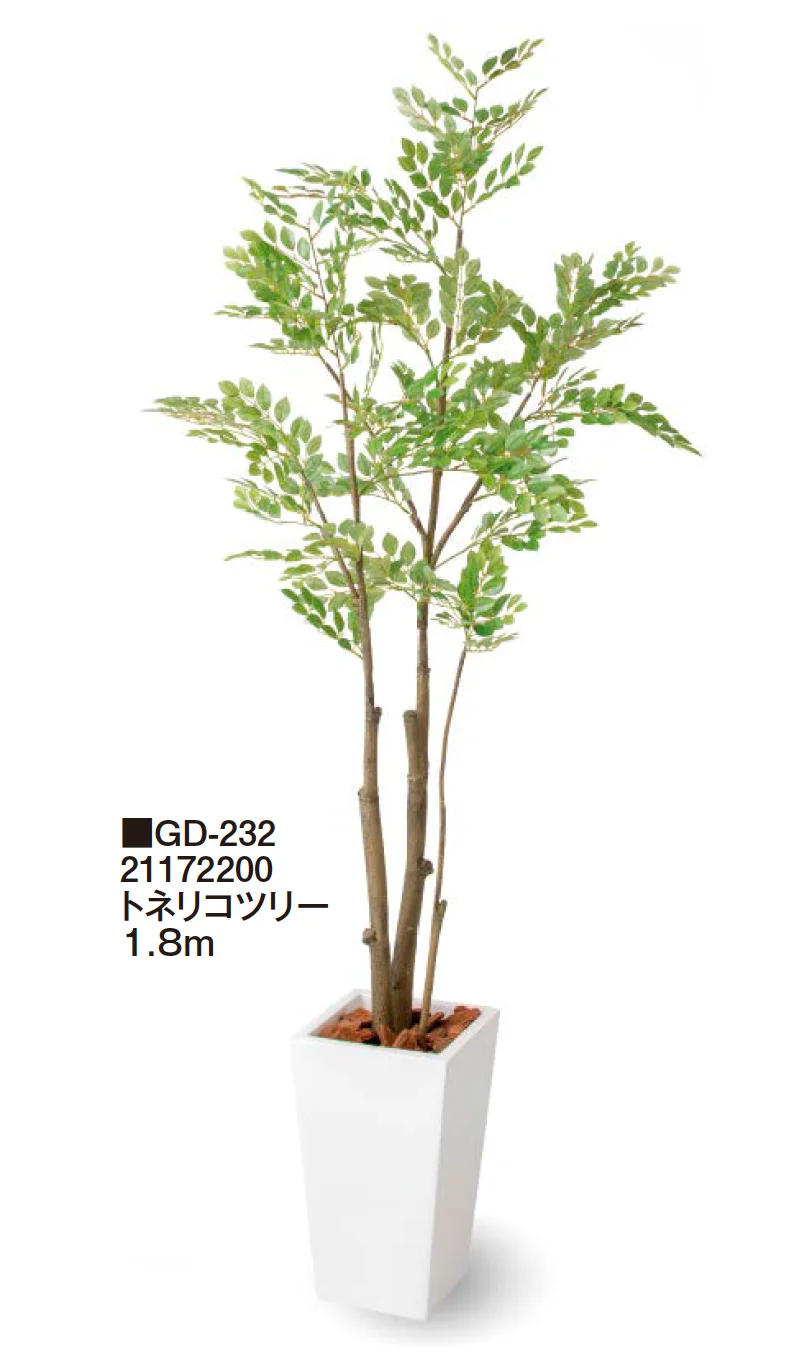 タカショーの「観葉植物【2024年版】」のサブ画像7