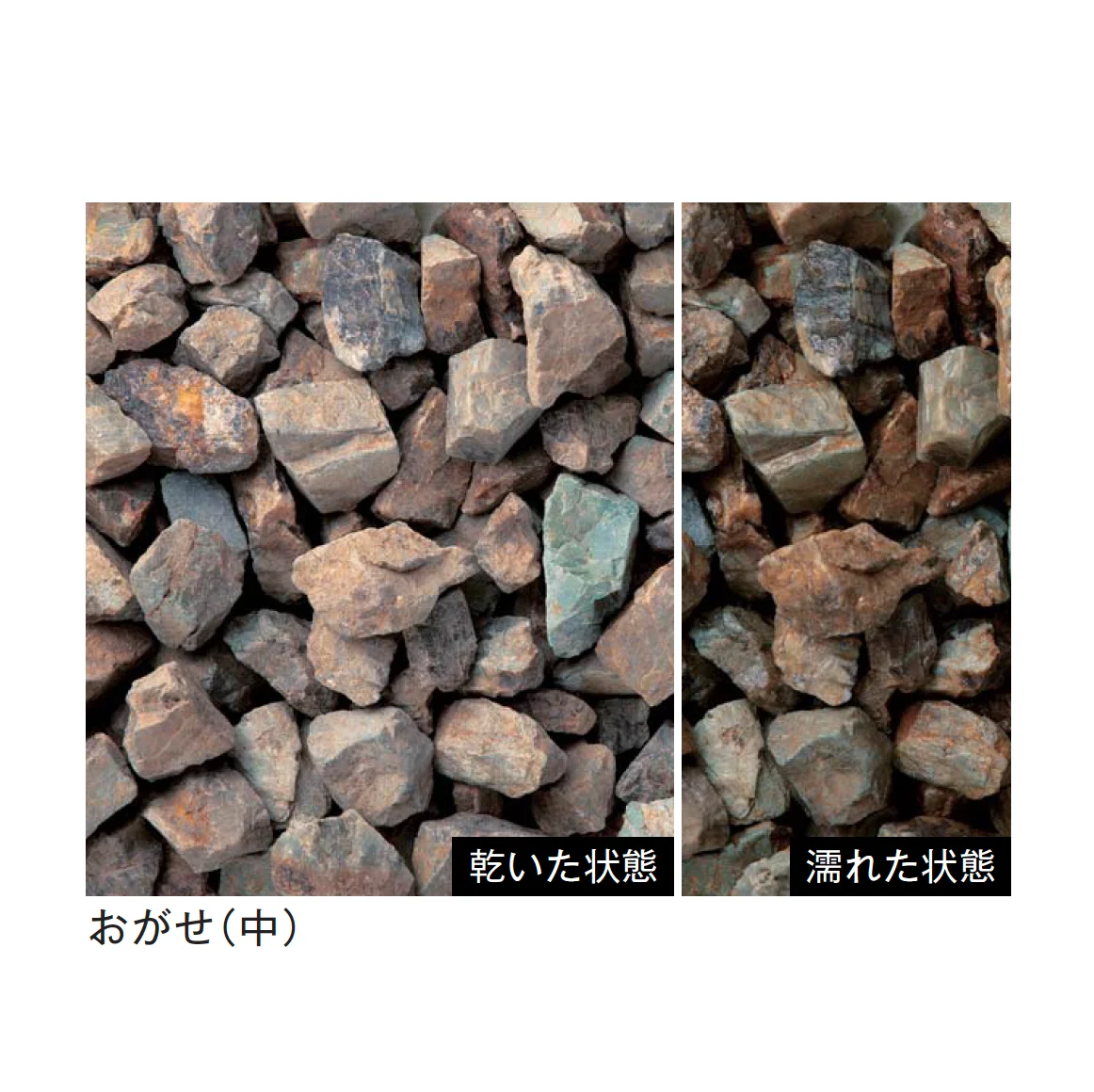 メイクランドの「トンパック」のサブ画像4
