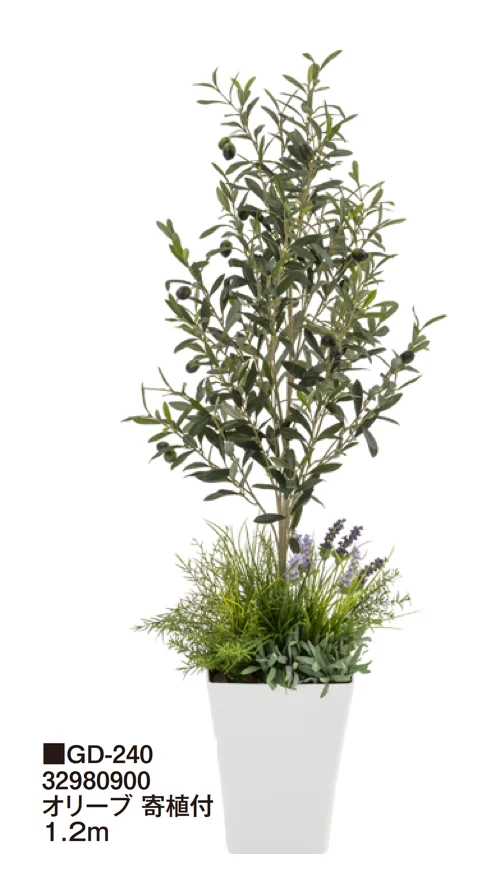 タカショーの「観葉植物【2024年版】」のサブ画像19