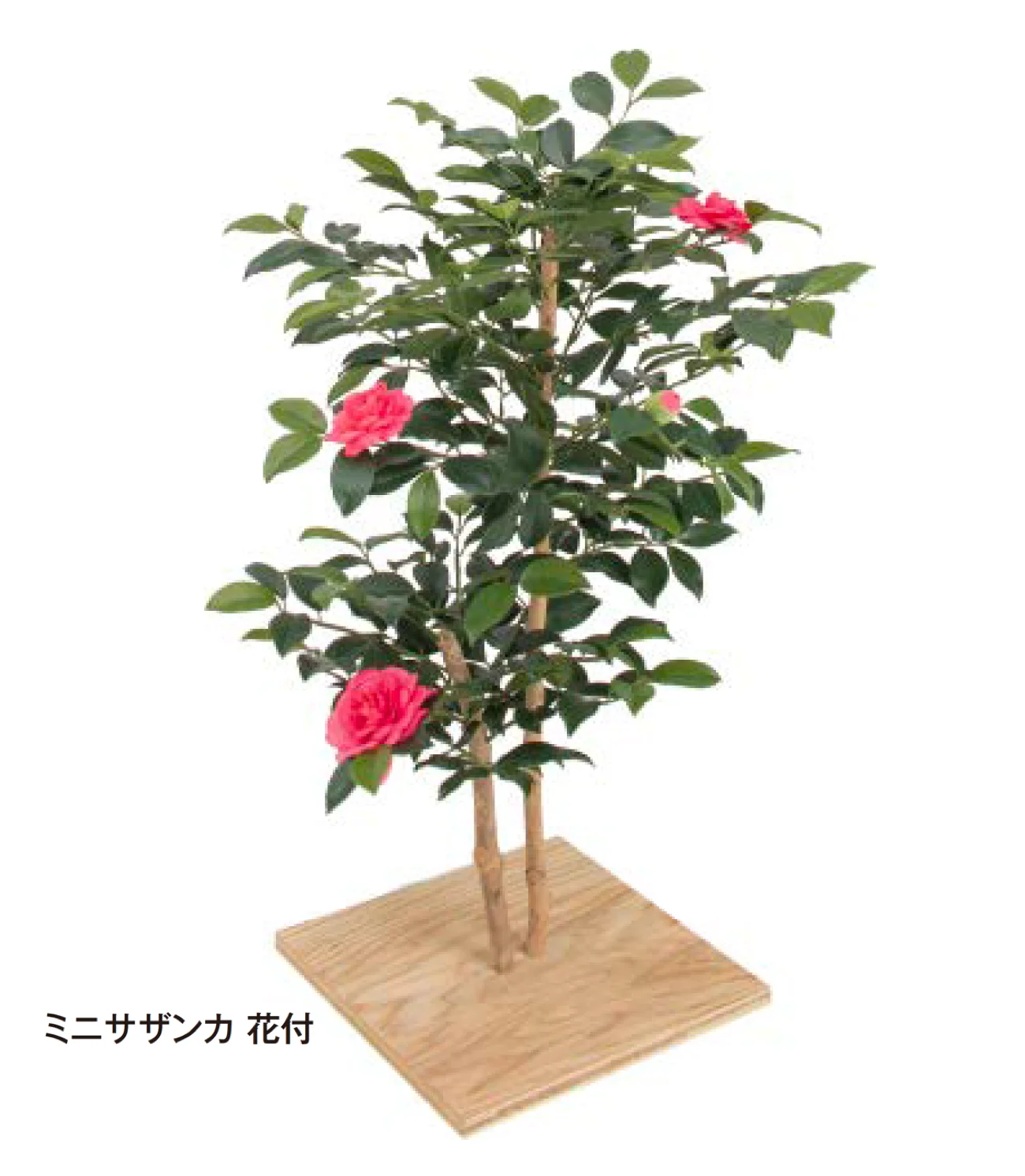 タカショーの「板付」のサブ画像3