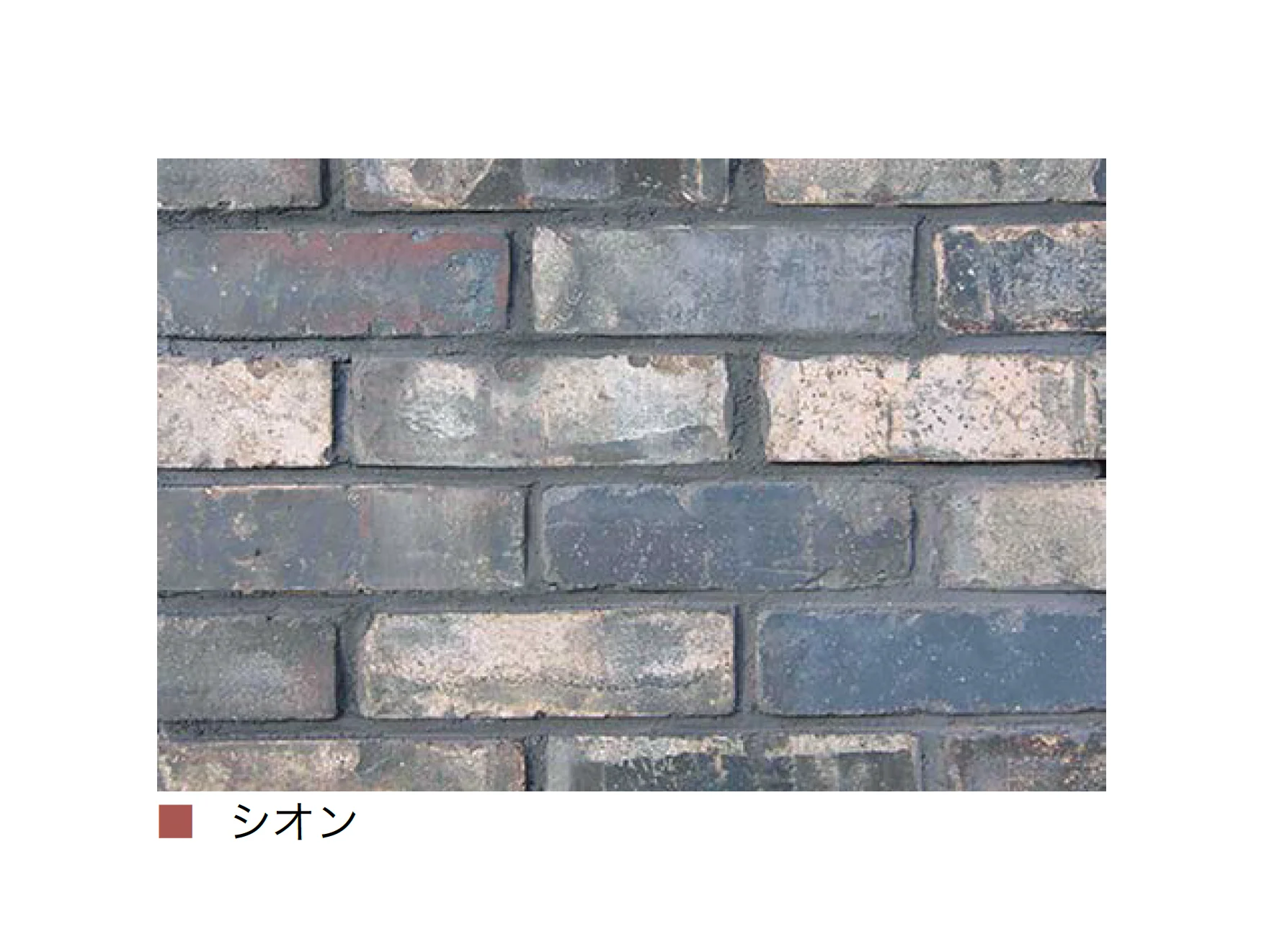 オンリーワンクラブの「極」のサブ画像10