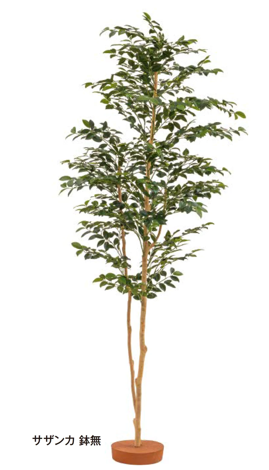 タカショーの「和風観葉植物【2026年版】」のサブ画像4