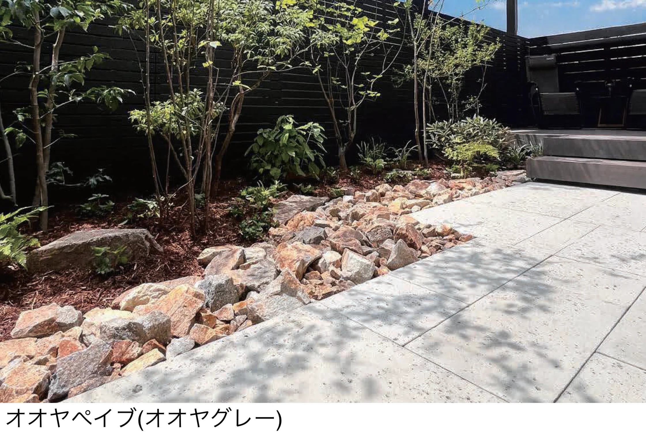 東洋工業の「オオヤペイブ」のサブ画像1